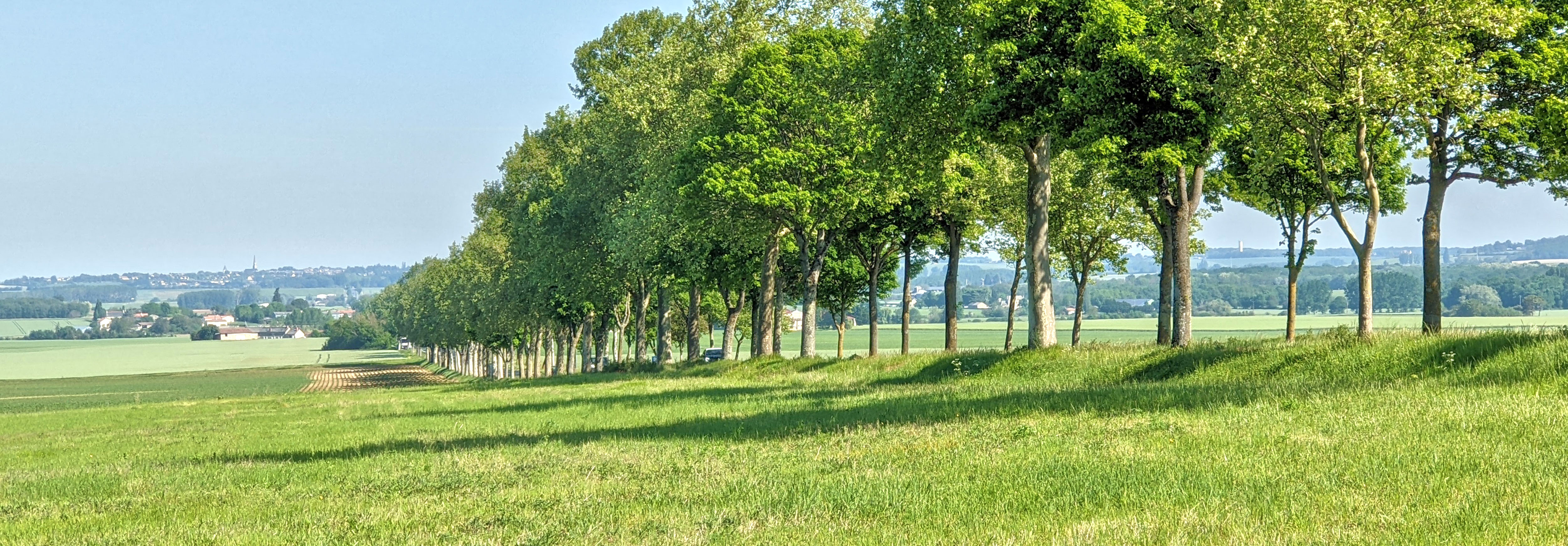 Les Alignements D arbres Atlas Des Paysages