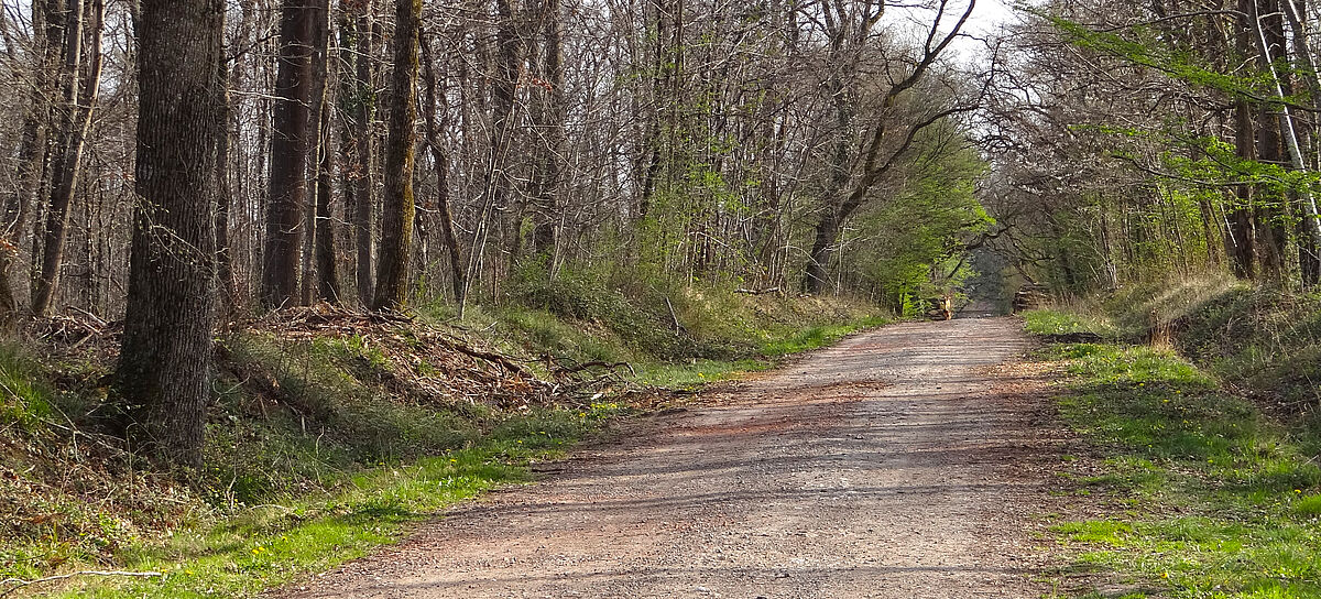 Agrandir l'image (fenêtre modale)