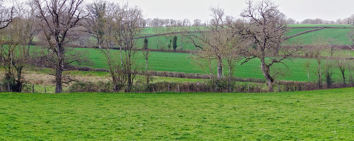 Agrandir l'image (fenêtre modale)