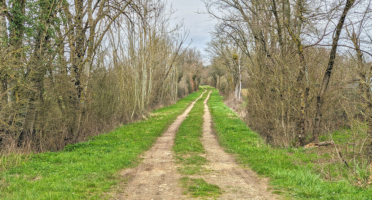 Agrandir l'image (fenêtre modale)