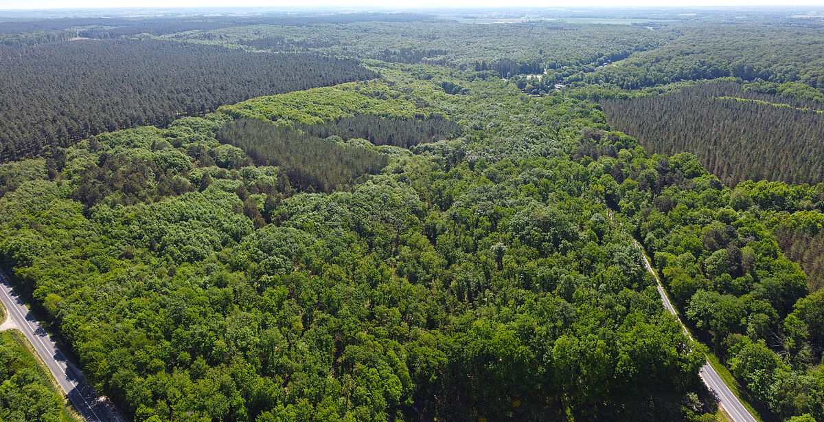 Agrandir l'image (fenêtre modale)