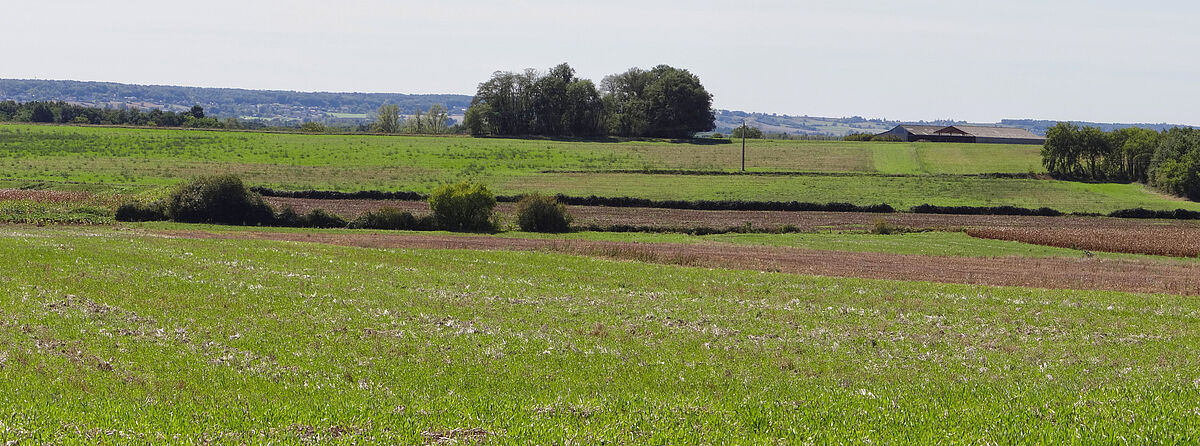 Agrandir l'image (fenêtre modale)