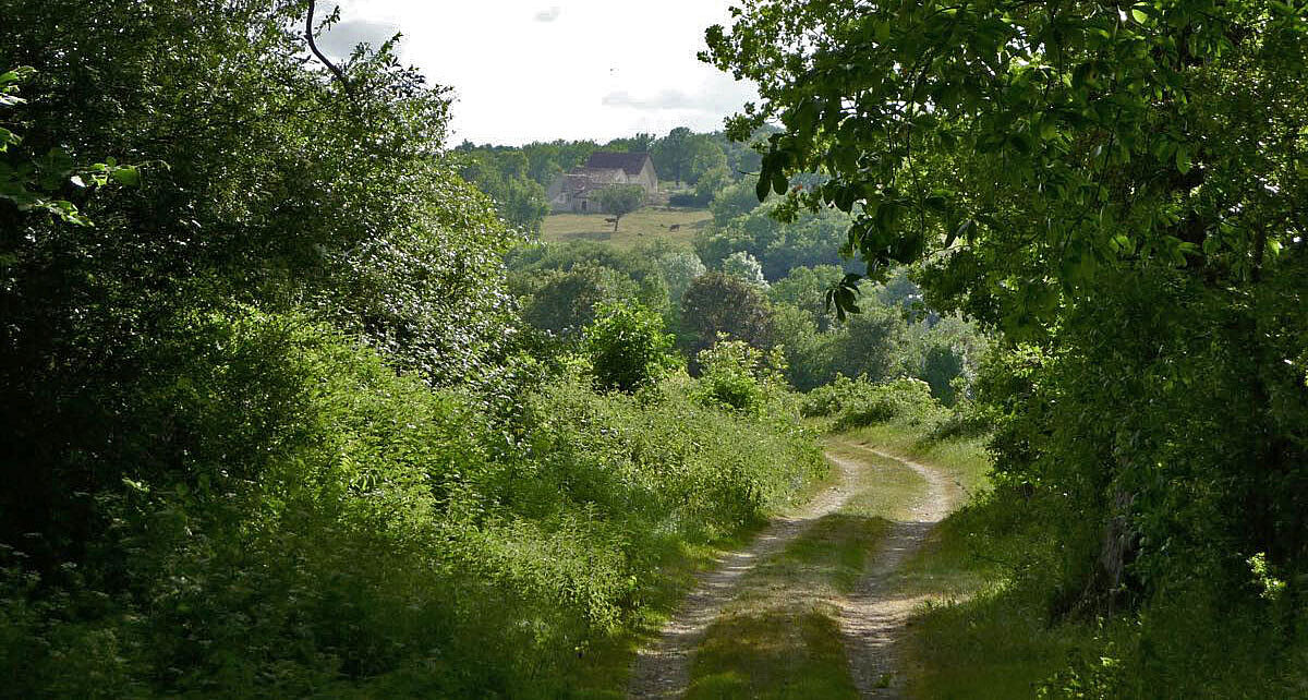 Agrandir l'image (fenêtre modale)