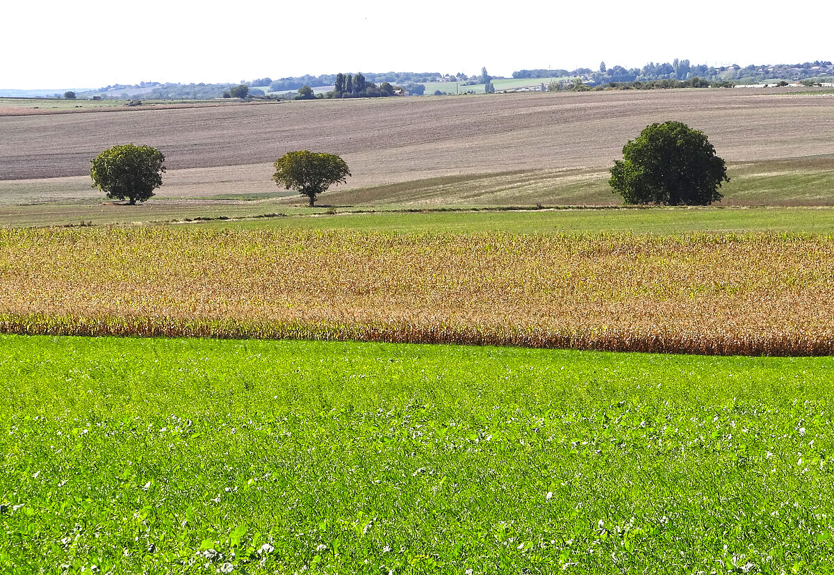 Agrandir l'image (fenêtre modale)