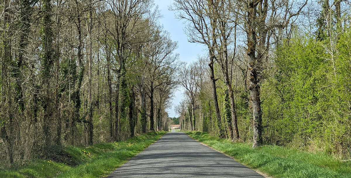 Agrandir l'image (fenêtre modale)