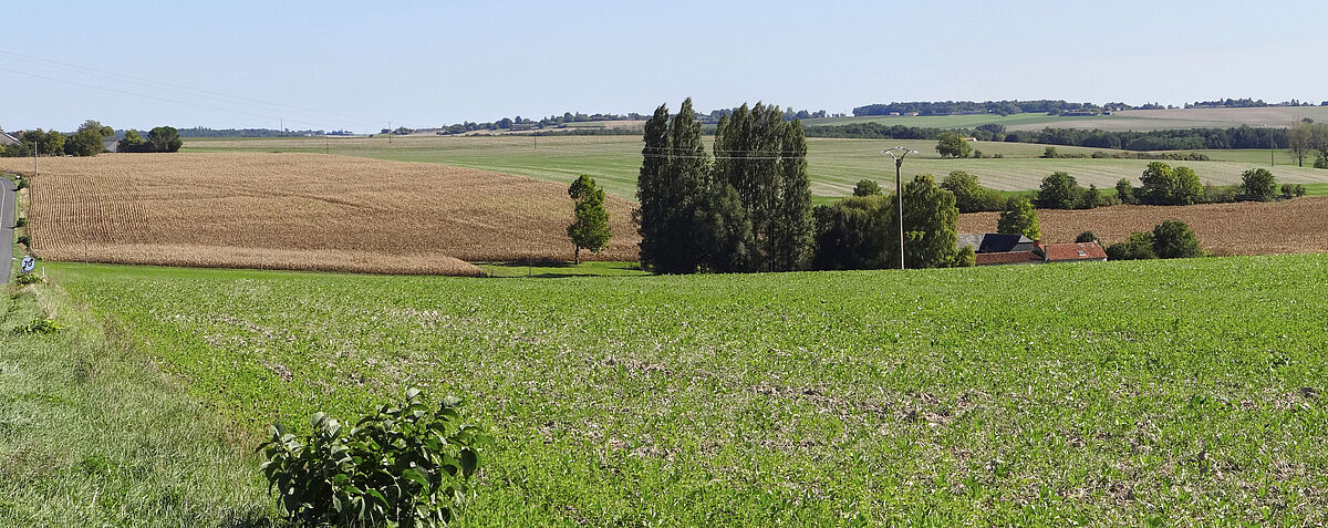 Agrandir l'image (fenêtre modale)