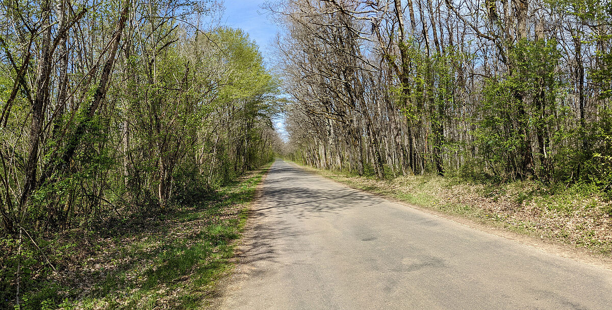 Agrandir l'image (fenêtre modale)