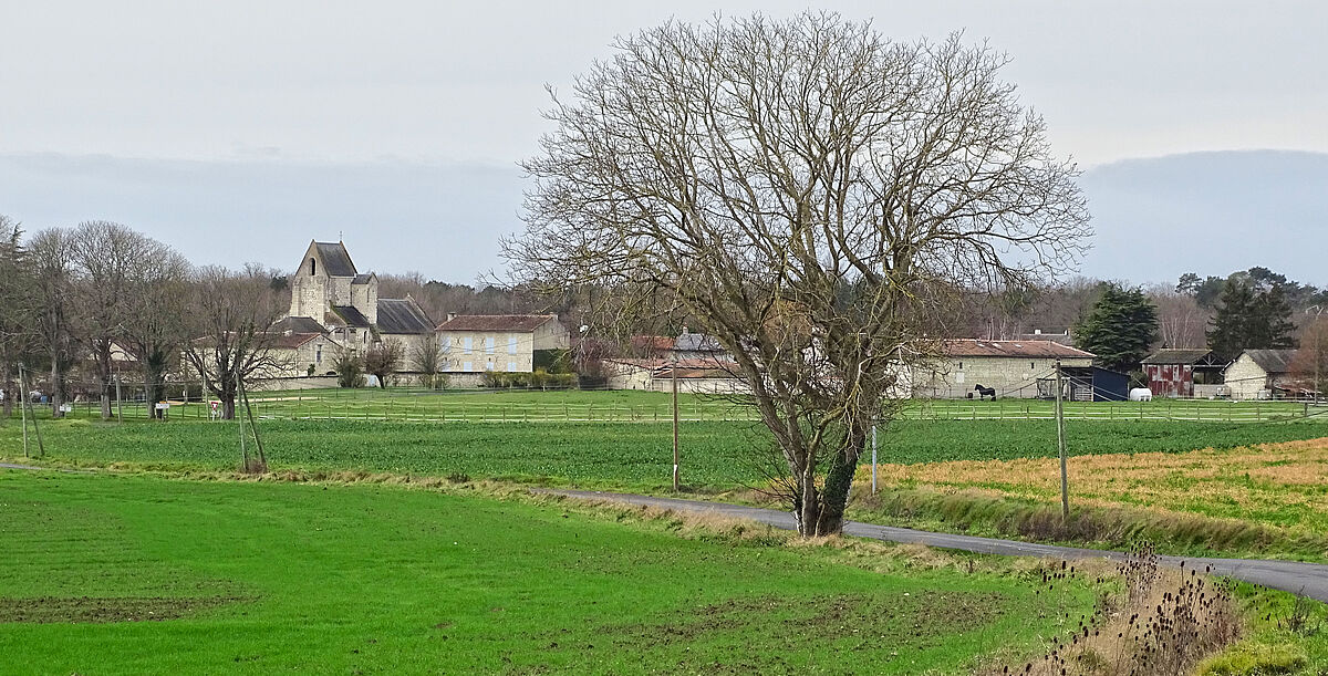 Agrandir l'image (fenêtre modale)