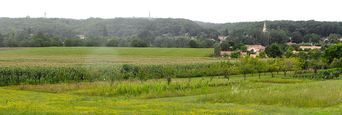 Agrandir l'image (fenêtre modale)