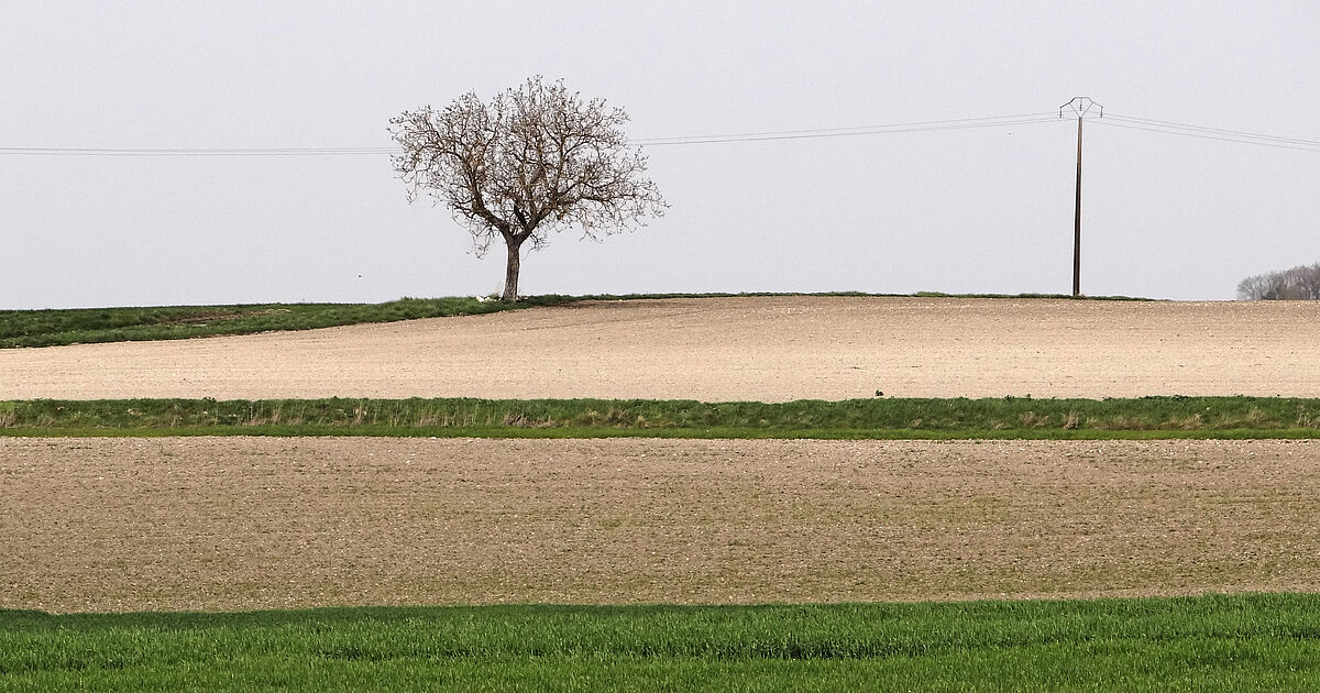 Agrandir l'image (fenêtre modale)