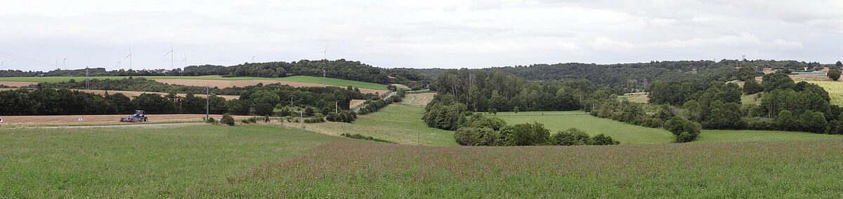 Agrandir l'image (fenêtre modale)