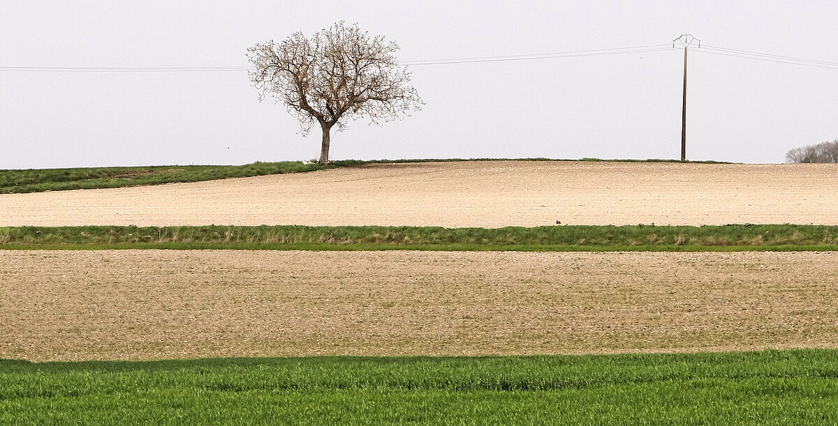 Agrandir l'image (fenêtre modale)