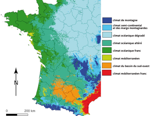 Agrandir l'image (fenêtre modale)