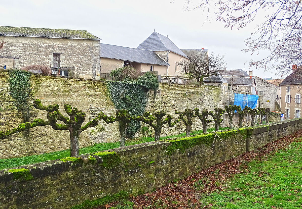 Agrandir l'image (fenêtre modale)