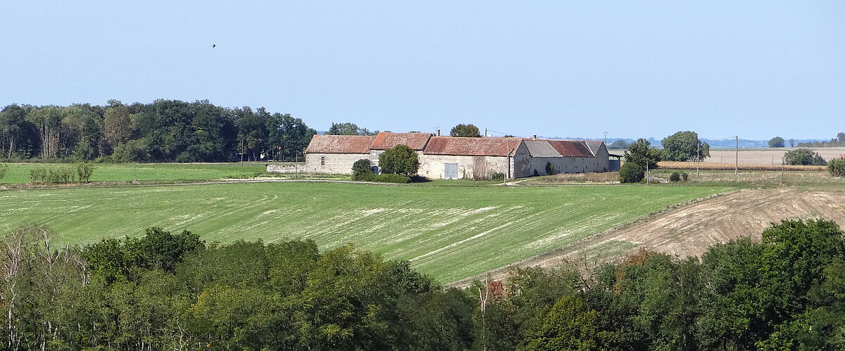 Agrandir l'image (fenêtre modale)