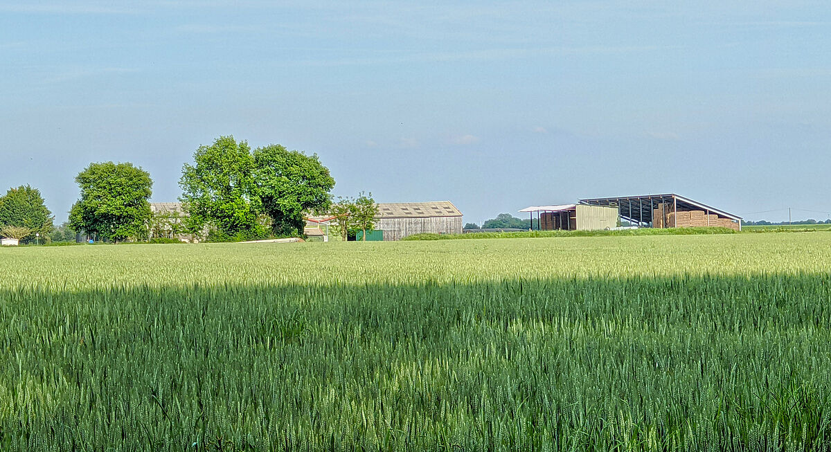 Agrandir l'image (fenêtre modale)