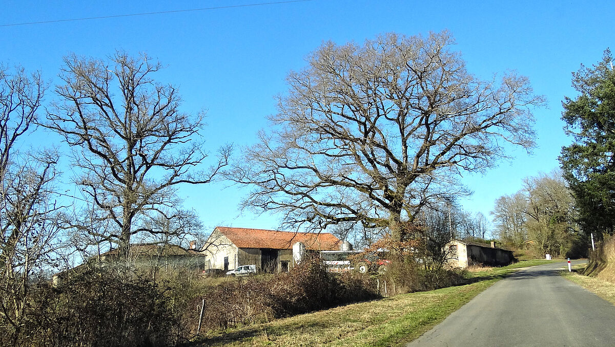 Agrandir l'image (fenêtre modale)