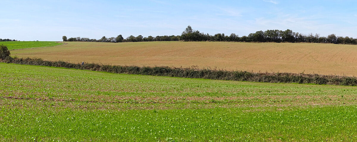 Agrandir l'image (fenêtre modale)