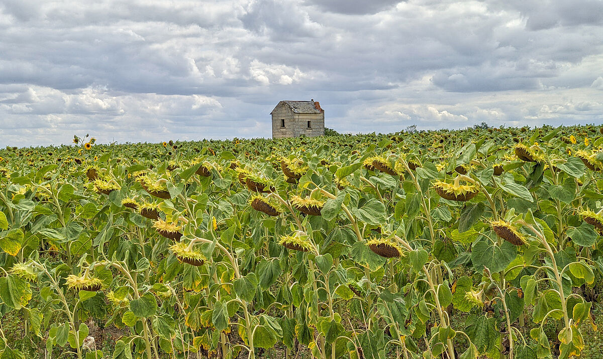 Agrandir l'image (fenêtre modale)