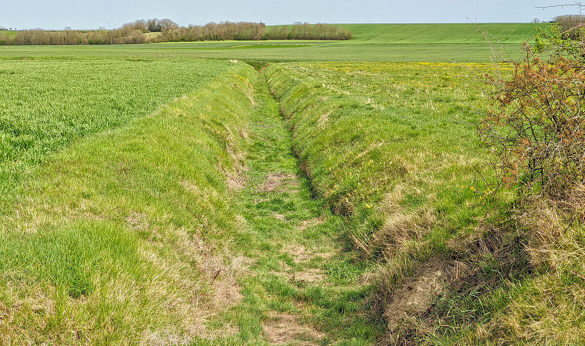 Agrandir l'image (fenêtre modale)