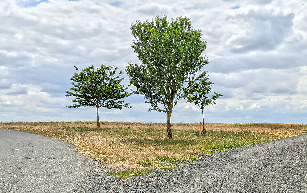 Agrandir l'image (fenêtre modale)