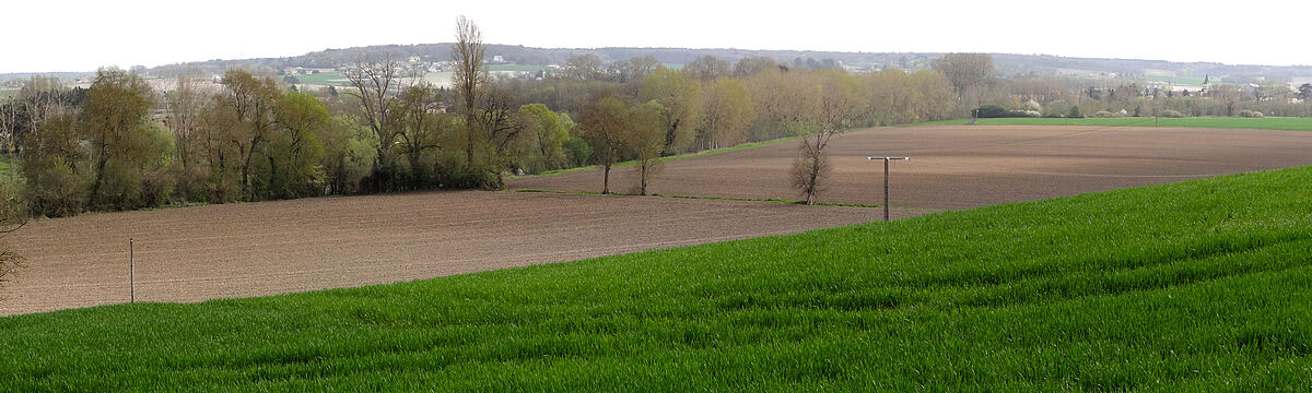 Agrandir l'image (fenêtre modale)